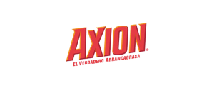 Axion